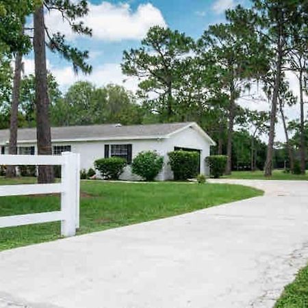 3Bdr2Bath Home In Lutz Close To Tampa, 20 Min To Stadium, Airport Kültér fotó