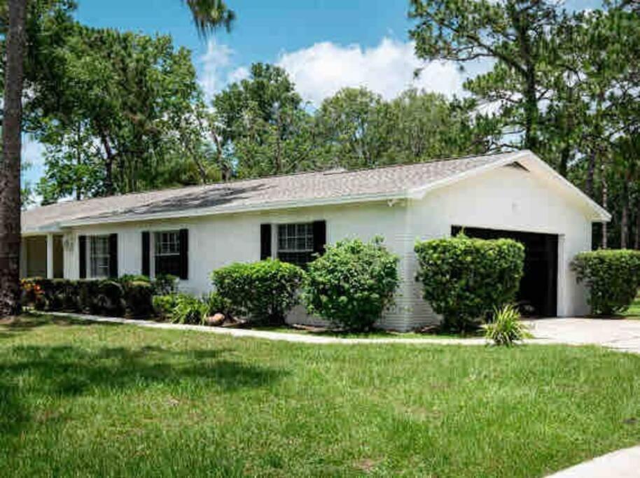 3Bdr2Bath Home In Lutz Close To Tampa, 20 Min To Stadium, Airport Kültér fotó