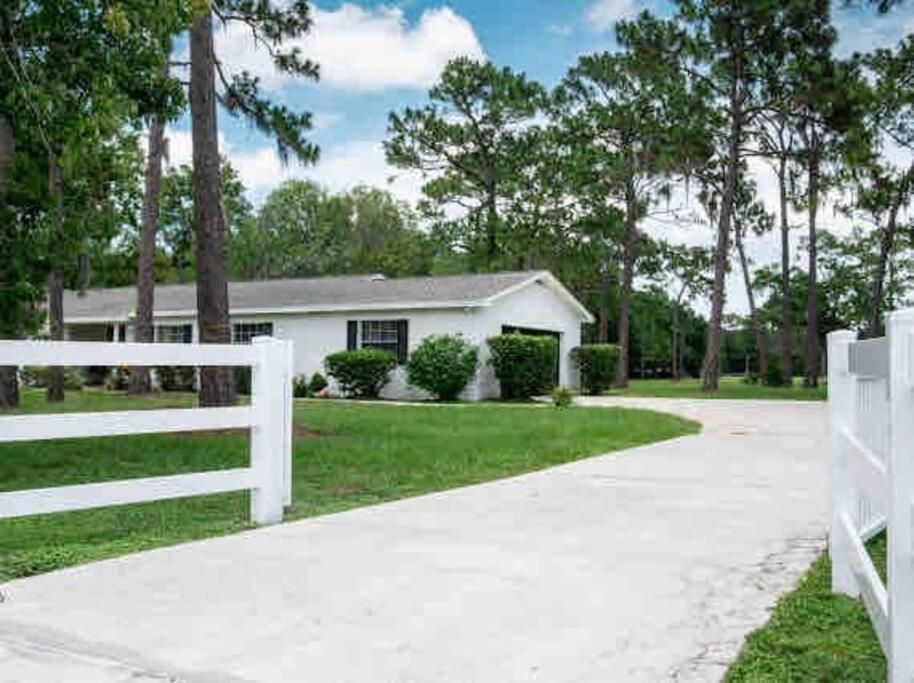 3Bdr2Bath Home In Lutz Close To Tampa, 20 Min To Stadium, Airport Kültér fotó